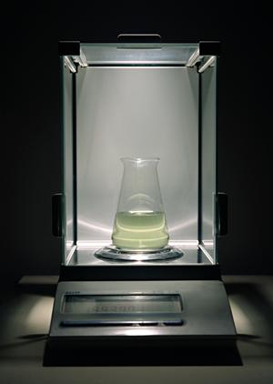 カニクレーンをレンタルしています